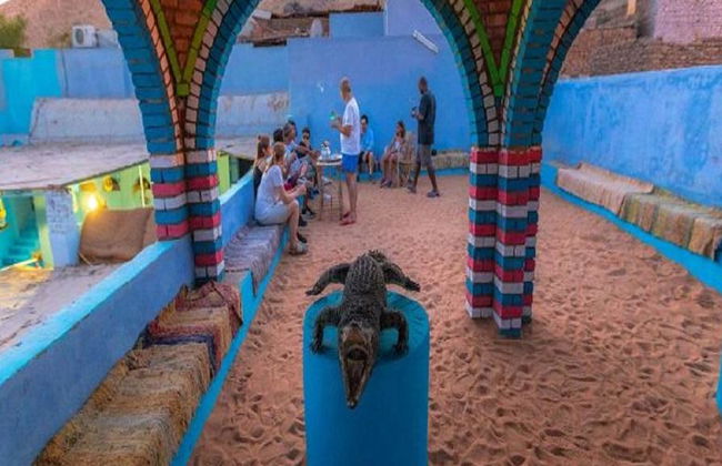 Excursión privada a una aldea nubia en lancha - Foto 4